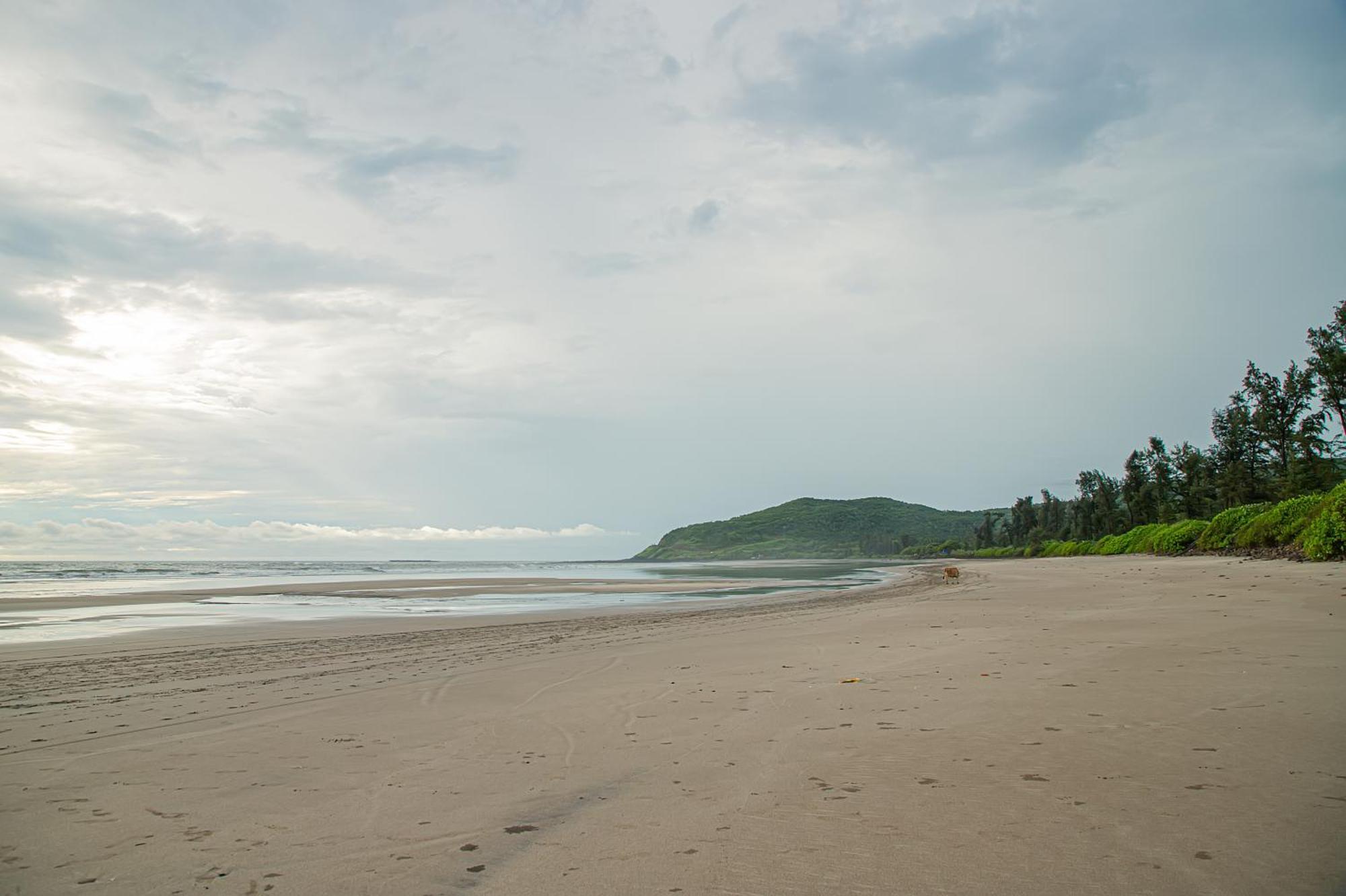 White Sand Beach Resort Kondivali Luaran gambar